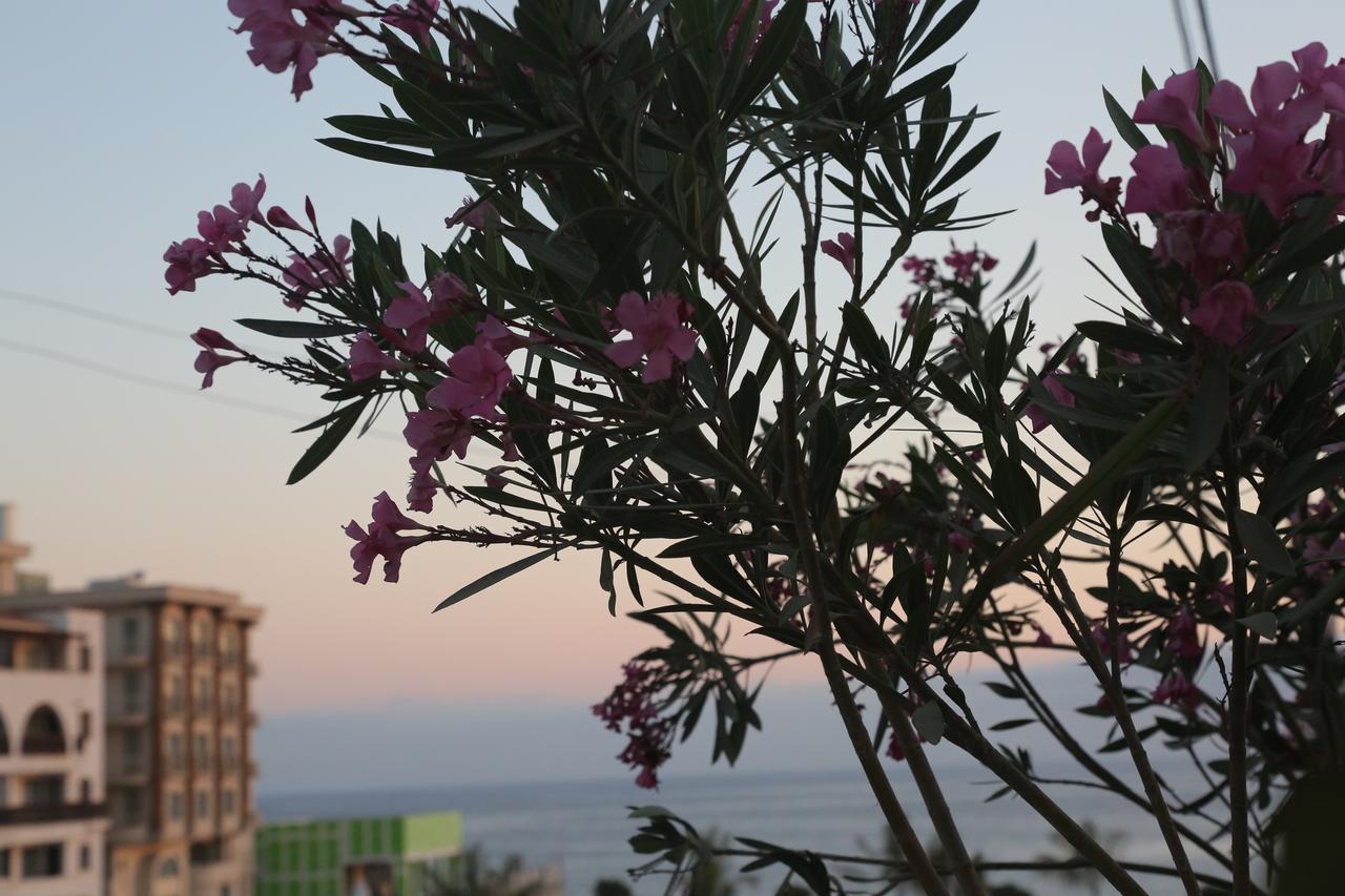 Kasgar Court Hotel Agia Varvara Bagian luar foto